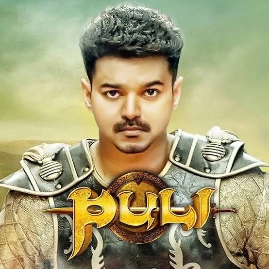 Puli